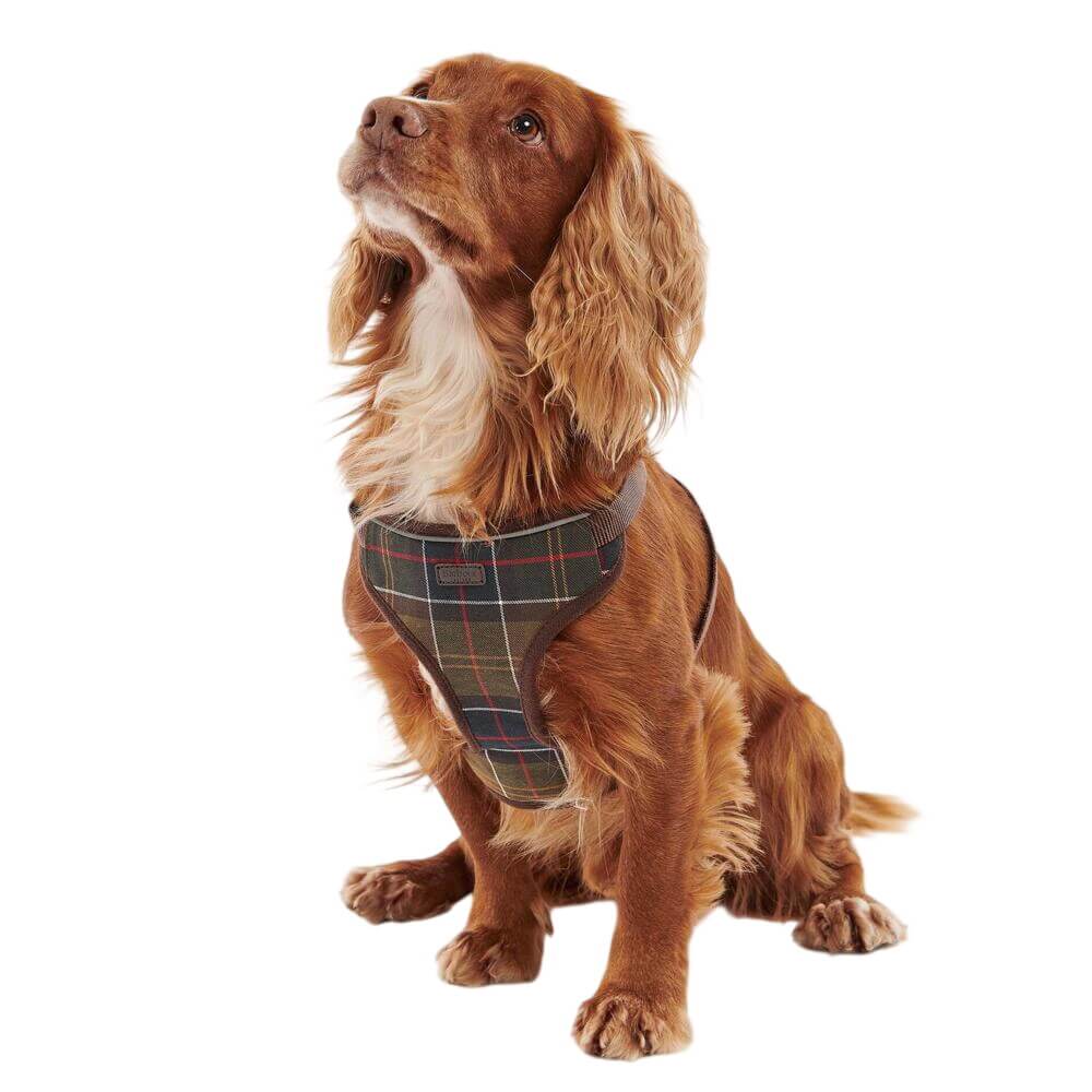 Barbour Travel And Exercise Dog Harness